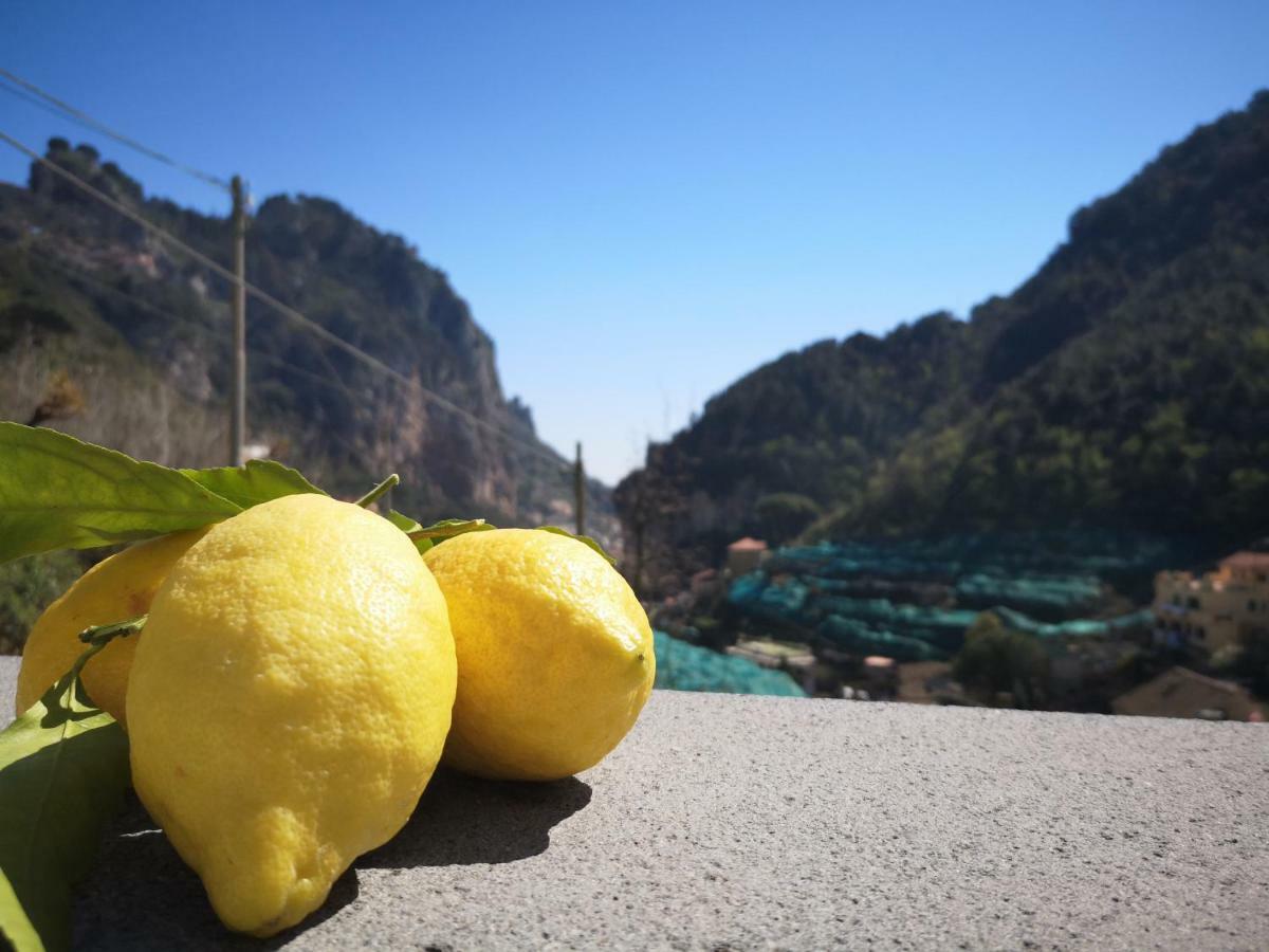Fior D'Arancio Villa Amalfi Luaran gambar